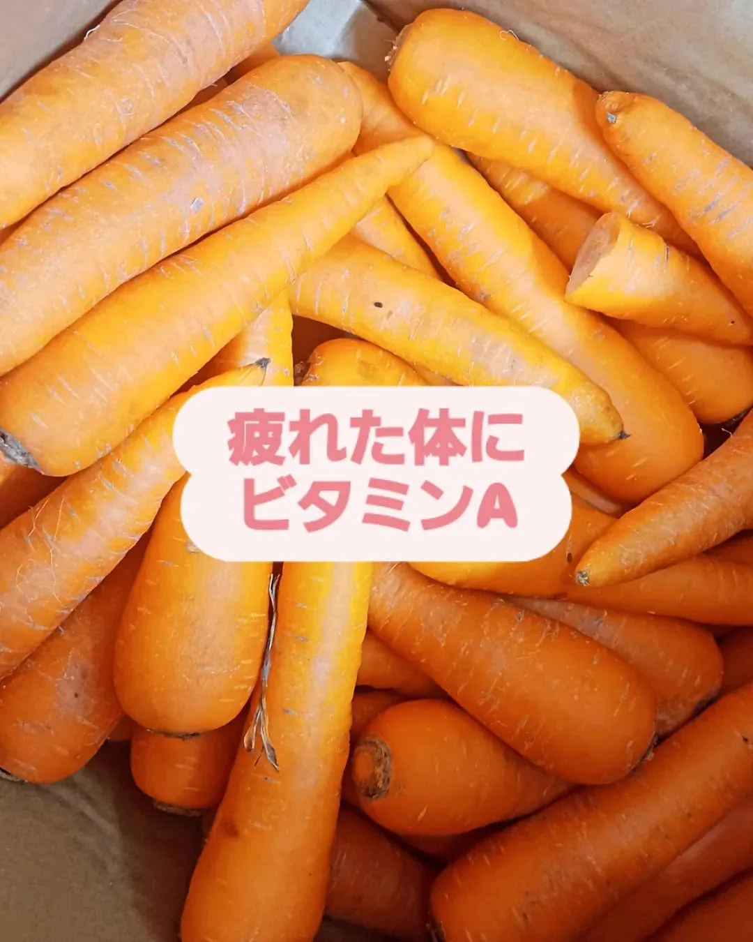 人参ポタージュ🥕