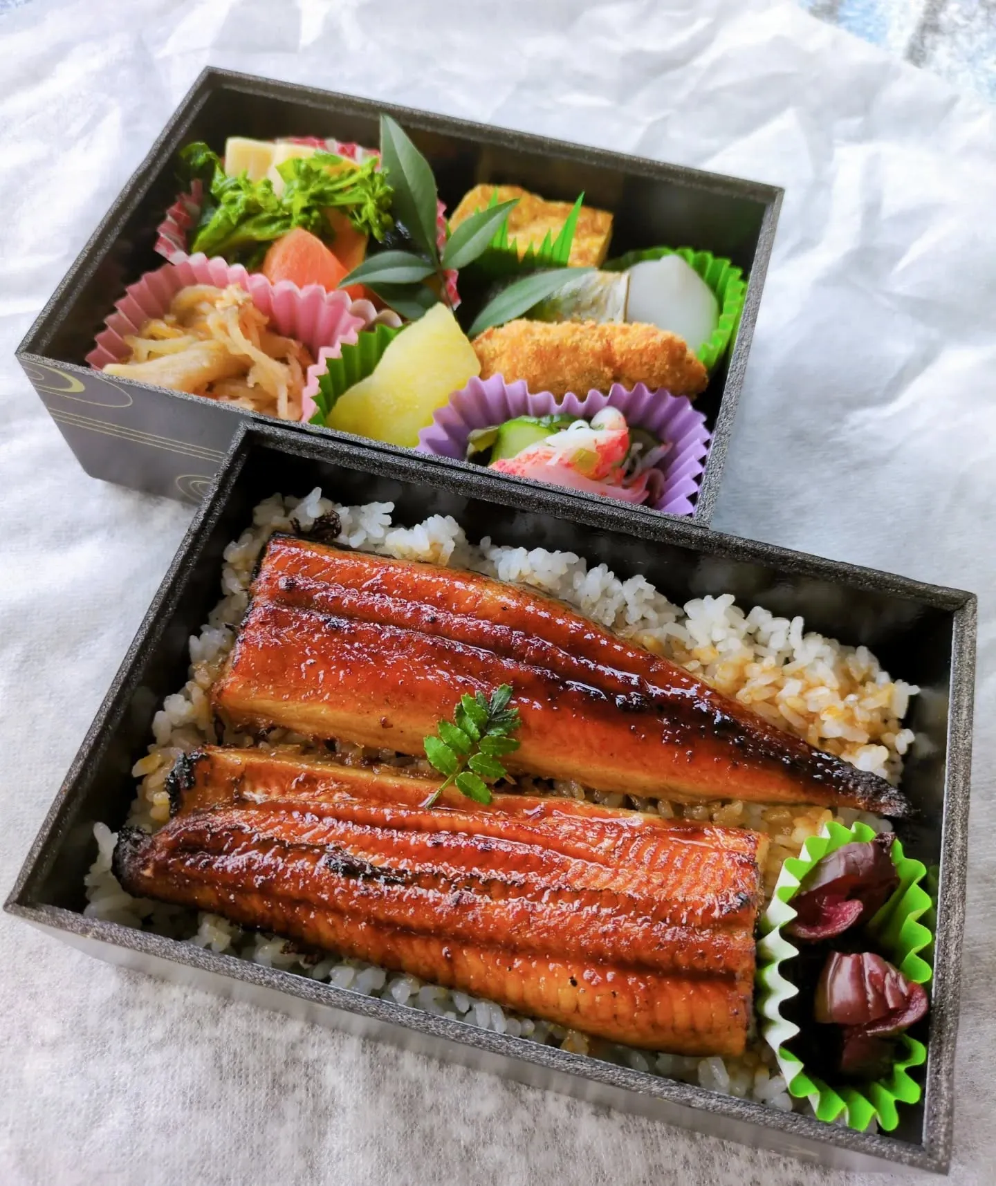 季節のわっぱ新作です！