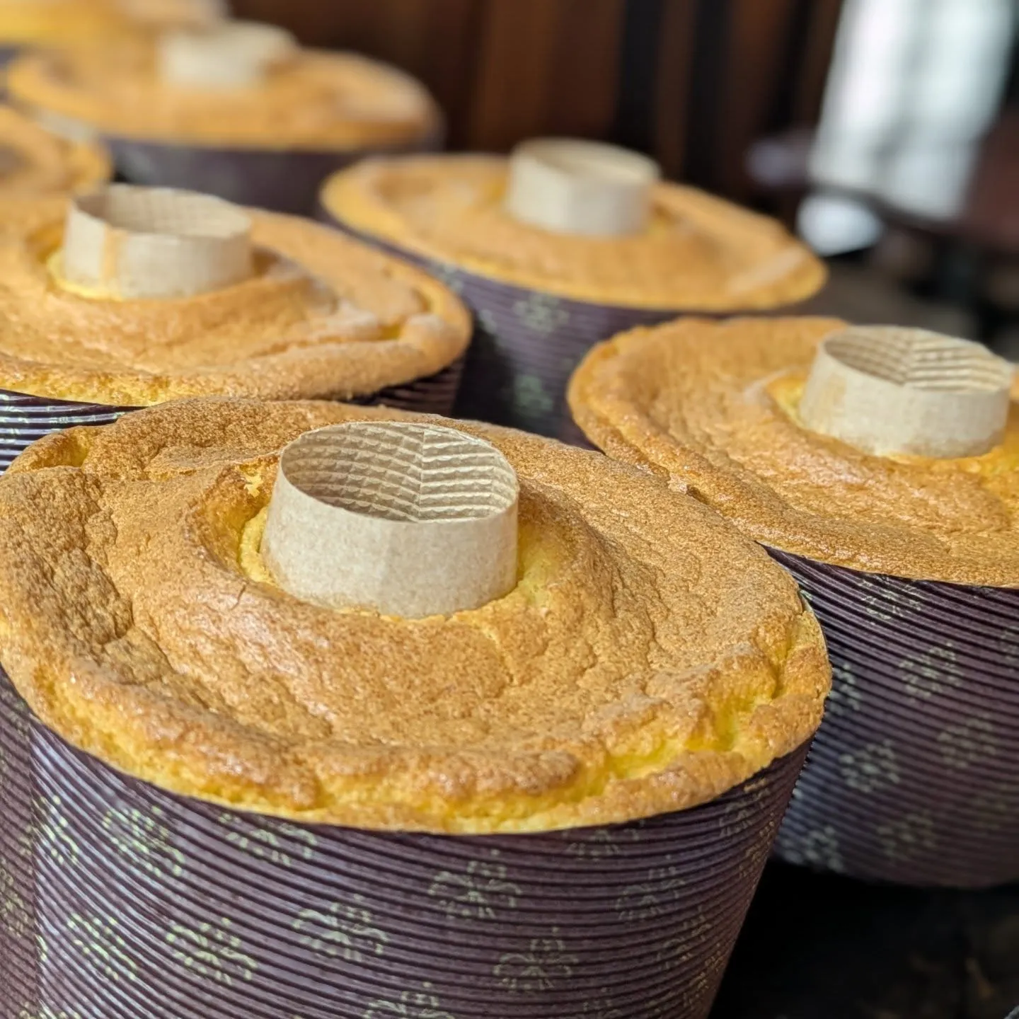 レクイエム聖殿感謝祭✨