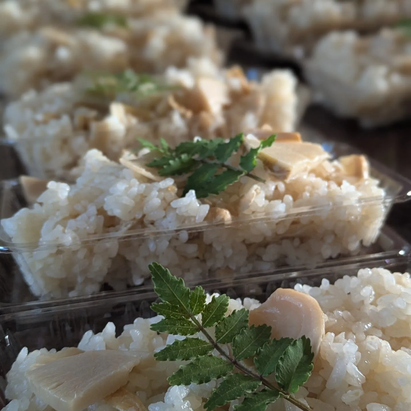 レクイエム聖殿感謝祭✨