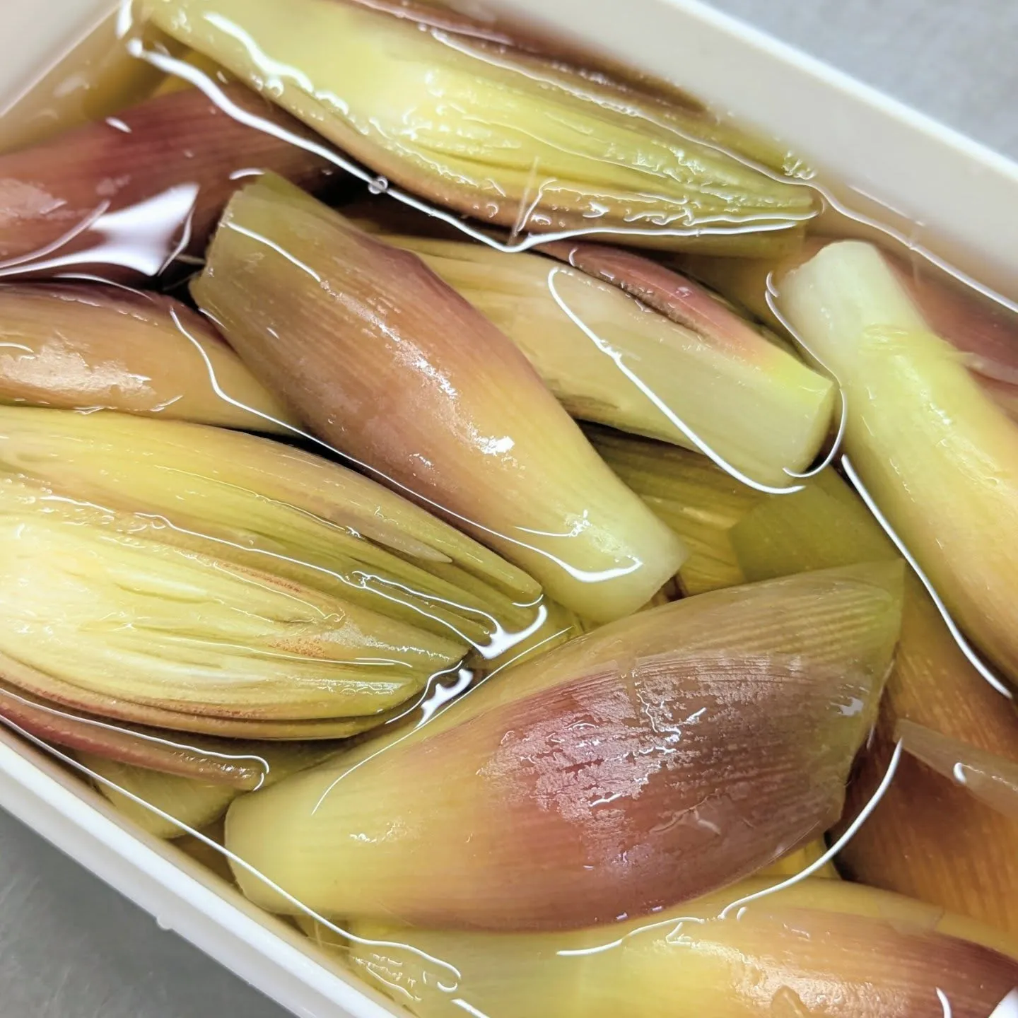 季節のわっぱ飯