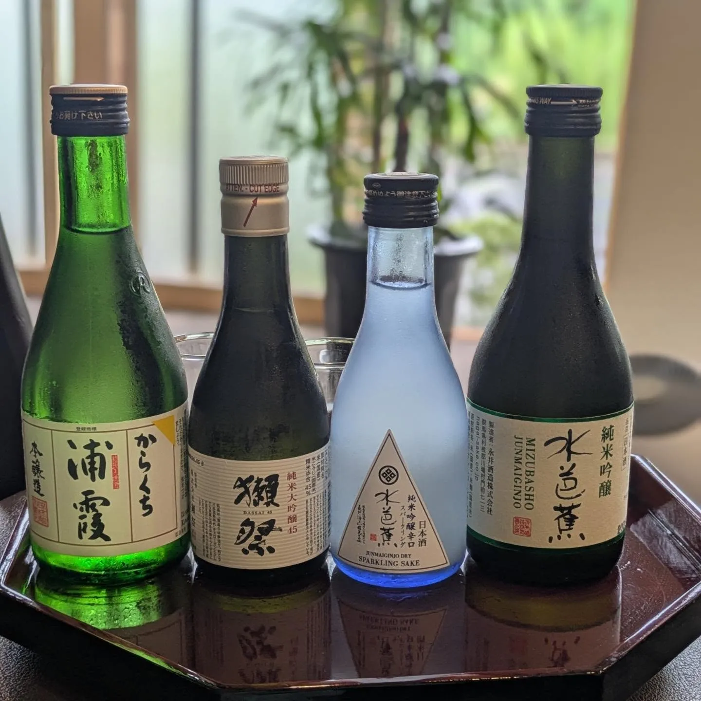日本酒一新🍶