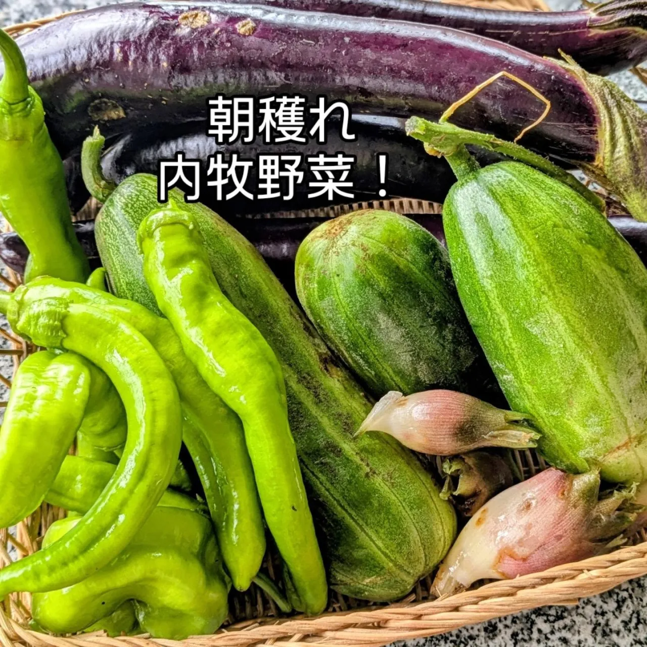 産直内牧わっぱ飯!
